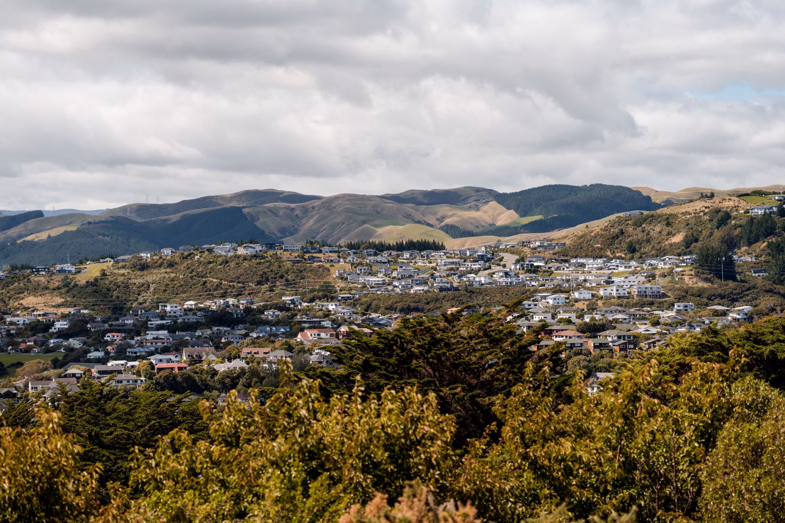 Image of Whitby, Porirua.